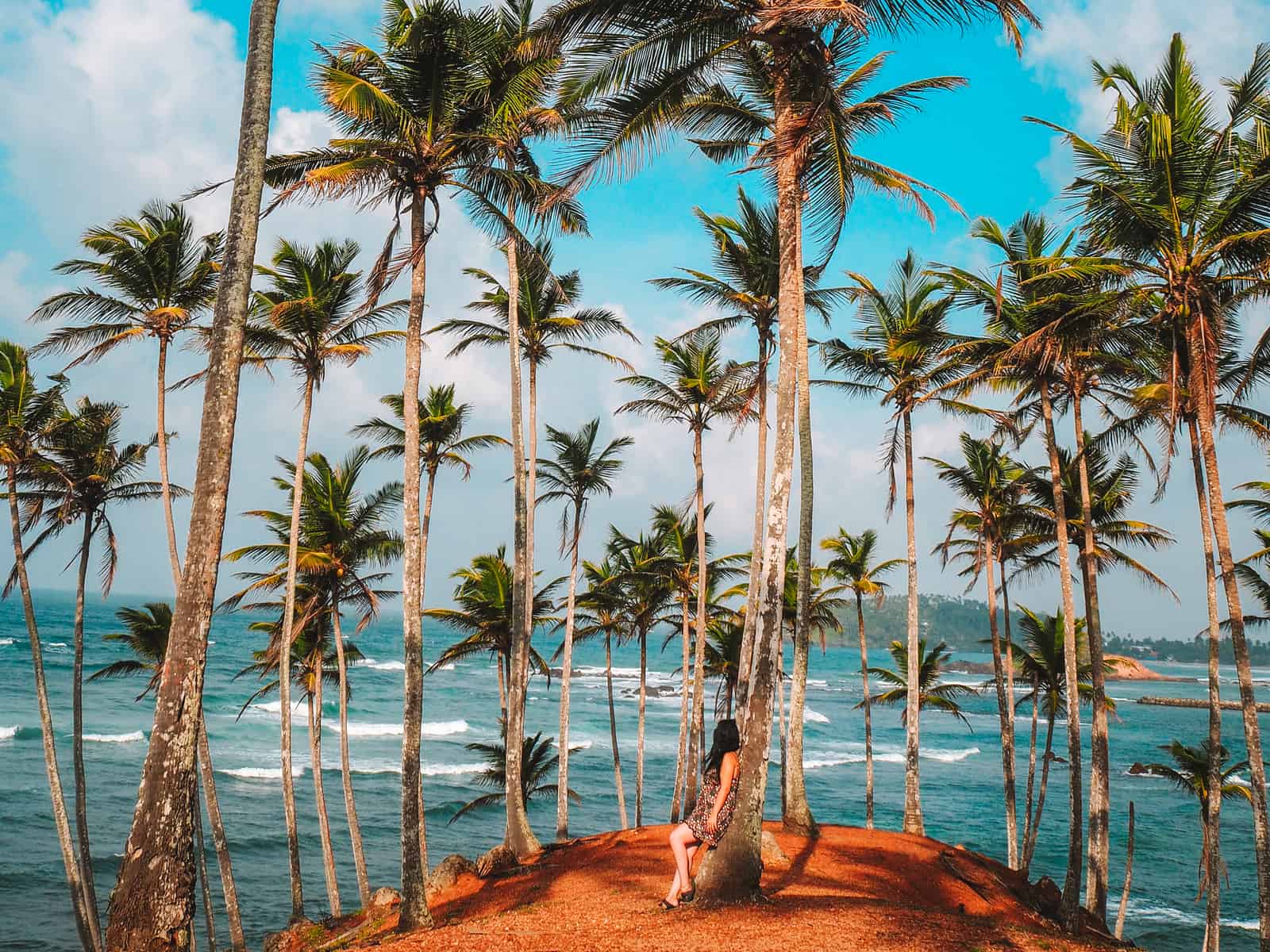 Sri Lankan beach paradise with palm trees